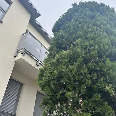 Le Di Torto