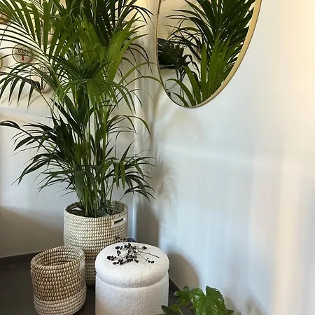 Apartment Le Di Torto